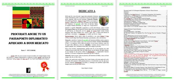 PASSAPORTO DIPLOMATICO - Image 2